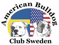American Bulldog Club Sweden