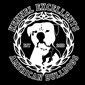 Kennel Excellent´s American Bulldogs